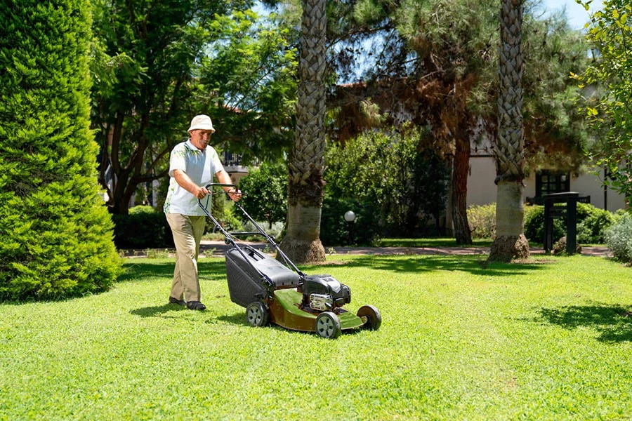 self propelled cordless lawn mowers